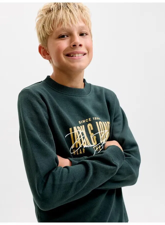 Свитшот с принтом Jack & Jones Junior, жук — фото 3