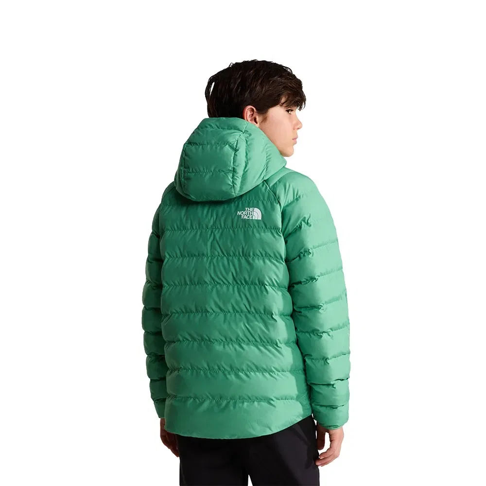 Детская куртка для мальчиков с капюшоном Reversible Perrito The north face, Green — фото 2
