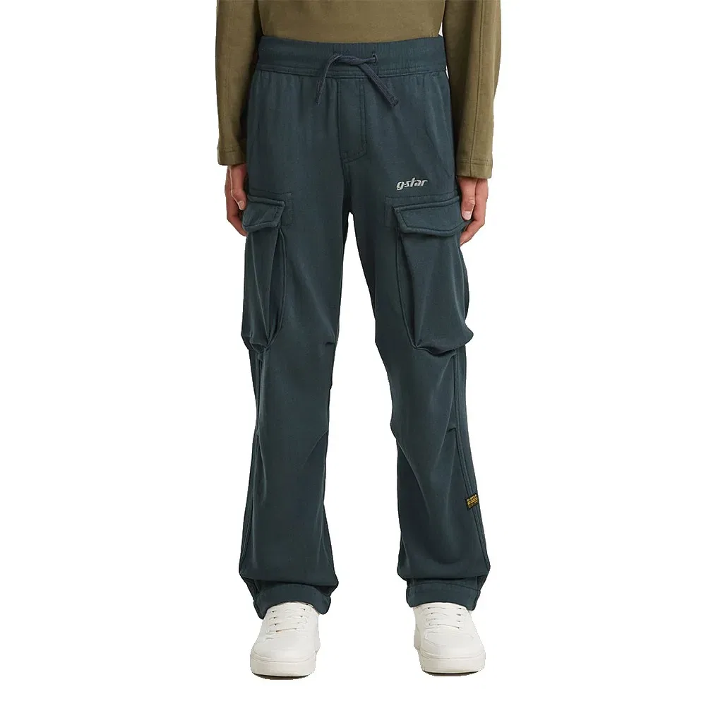 Штаны G-Star Core Regular Fit Cargo Sw, синий