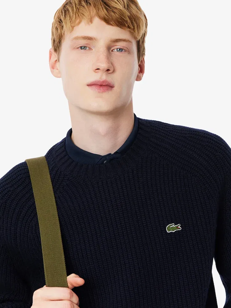 Свитер из хлопка LACOSTE, AH3142-55N 166 — фото 2