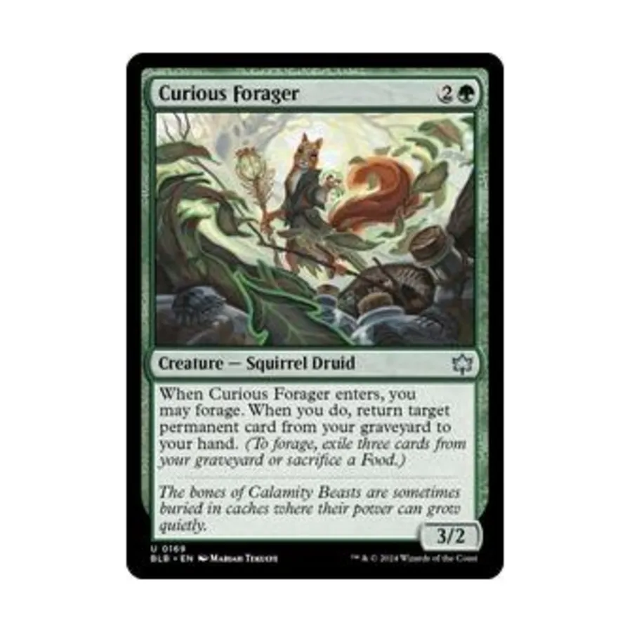 

CCG Любопытный собиратель (U), MTG - Bloomburrow