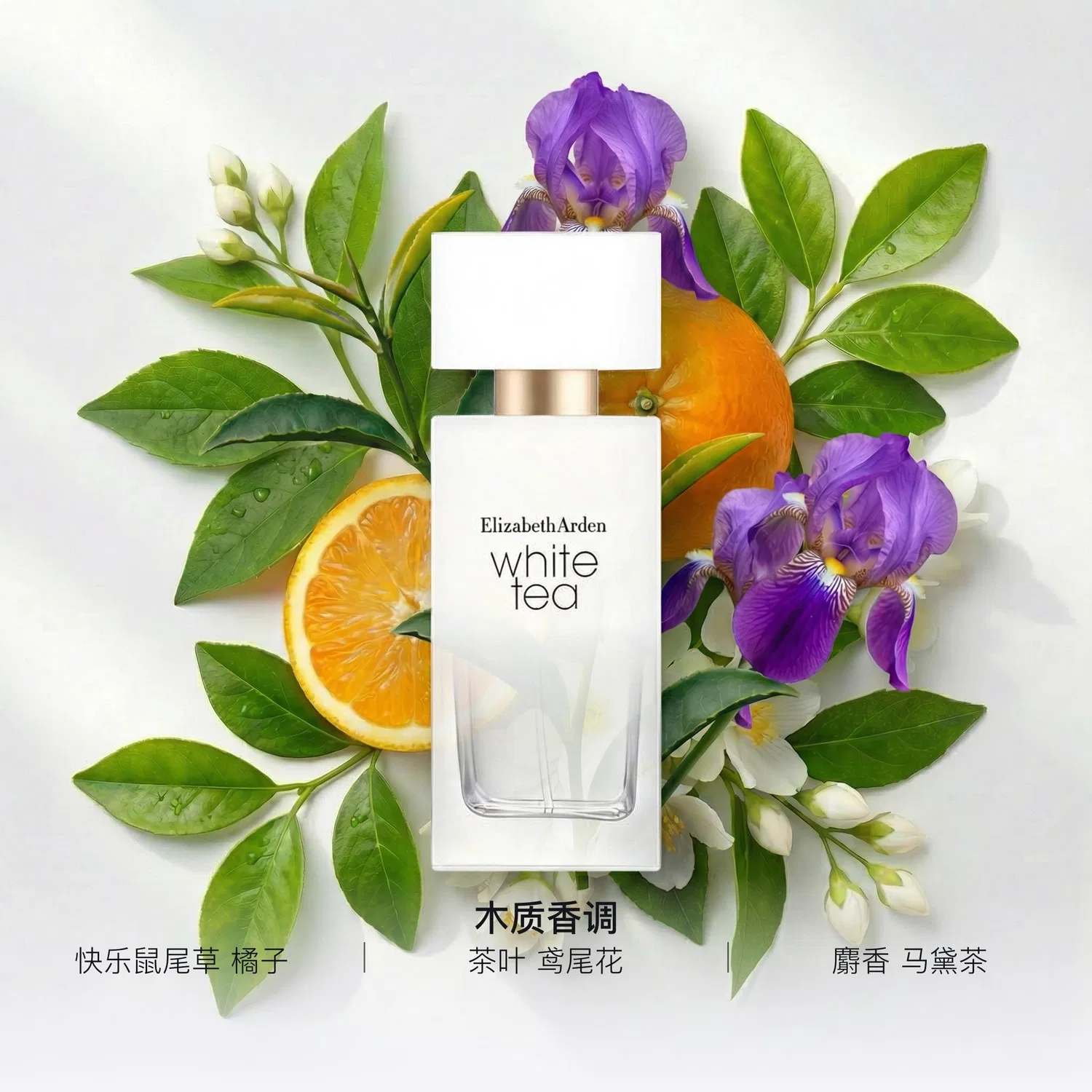 Женские духи White Tea Pure White Iris Perfume Classic Fragrance Type Woody Floral Eau De Toilette Sage, Elizabeth Arden, 50 мл, Белый — фото 2