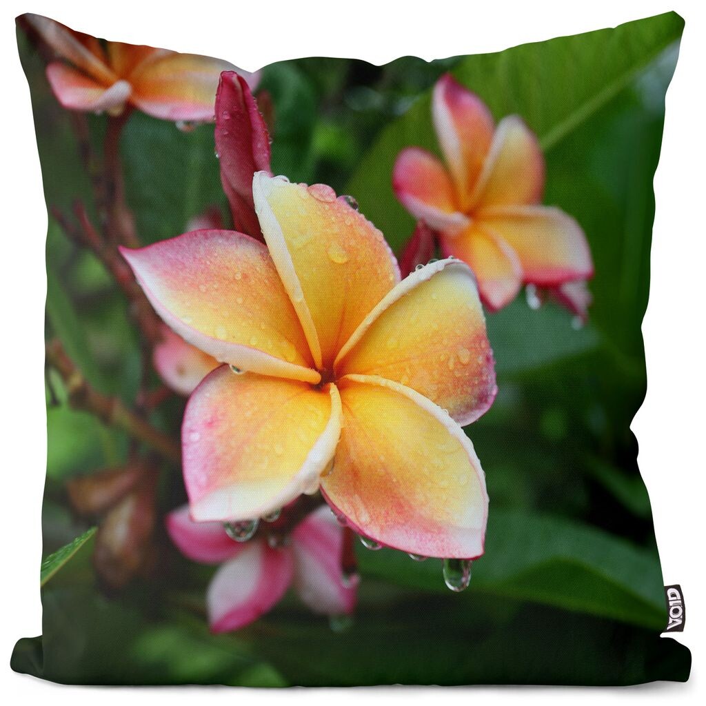 

VOID Чехол на подушку с цветком франжипани, полиэстер, водонепроницаемая подушка для улицы и дома. Размер: 60 x 60 см.