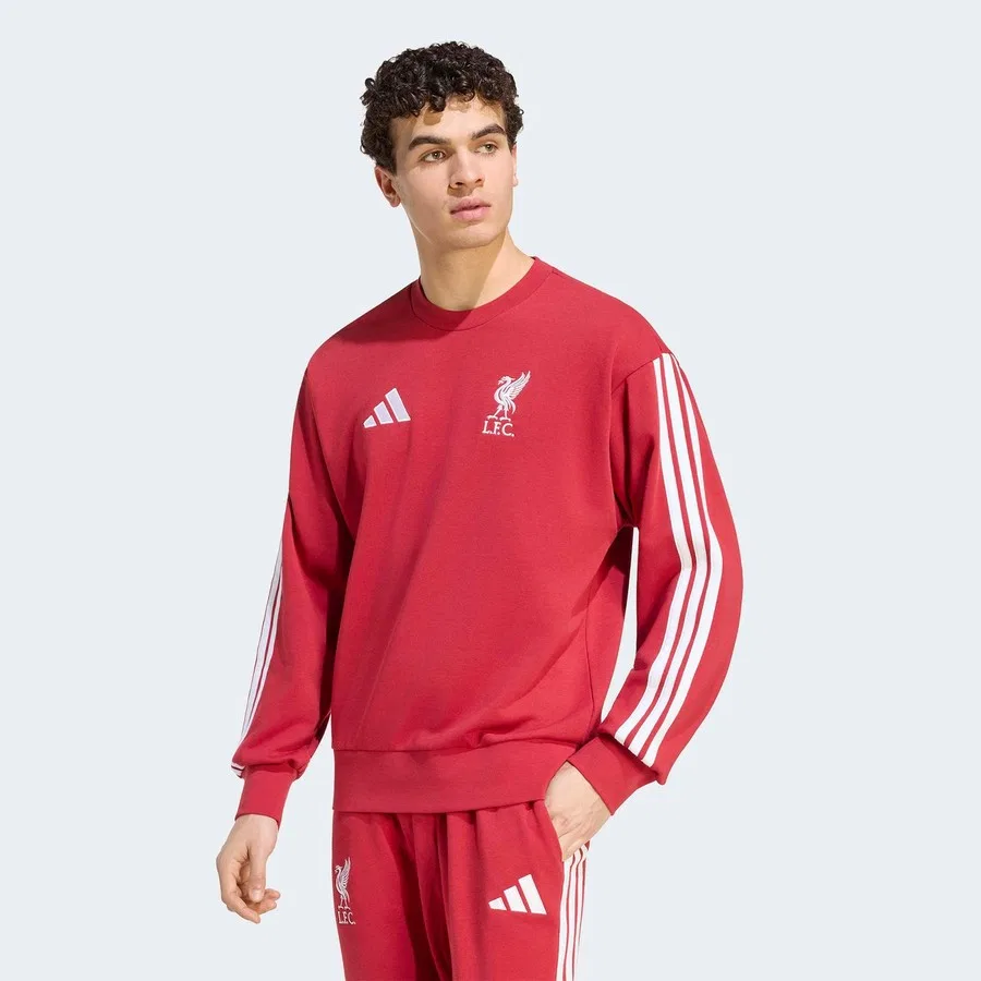 Мужской свитшот adidas Liverpool FC DNA с принтом, Красный