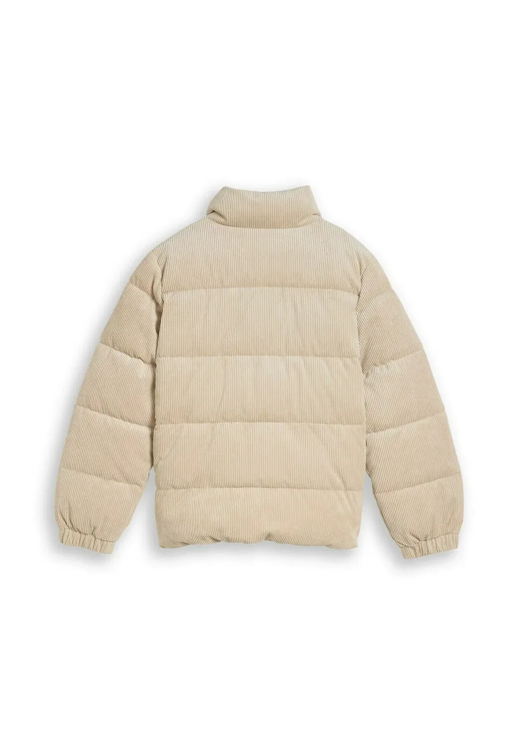 Куртка-Пуховик из шнура mit stehkragen - зимняя куртка Tom Tailor, Cashew Beige — фото 2