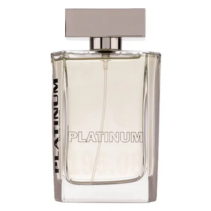 Парфюмерная вода Fragrance World Platinum For Men, 100 мл