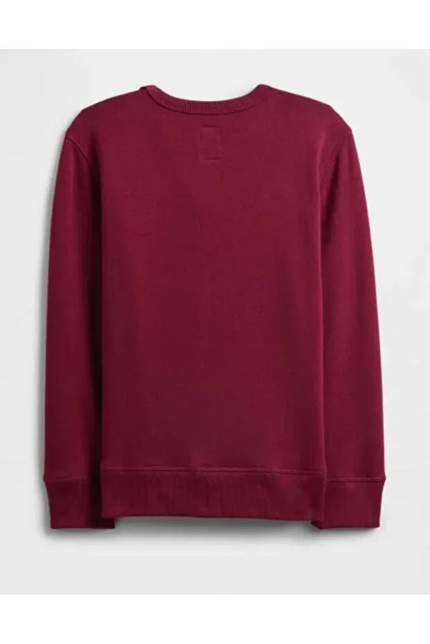Детские свитшот для мальчиков с принтом Gap Kids, Burgundy — фото 3