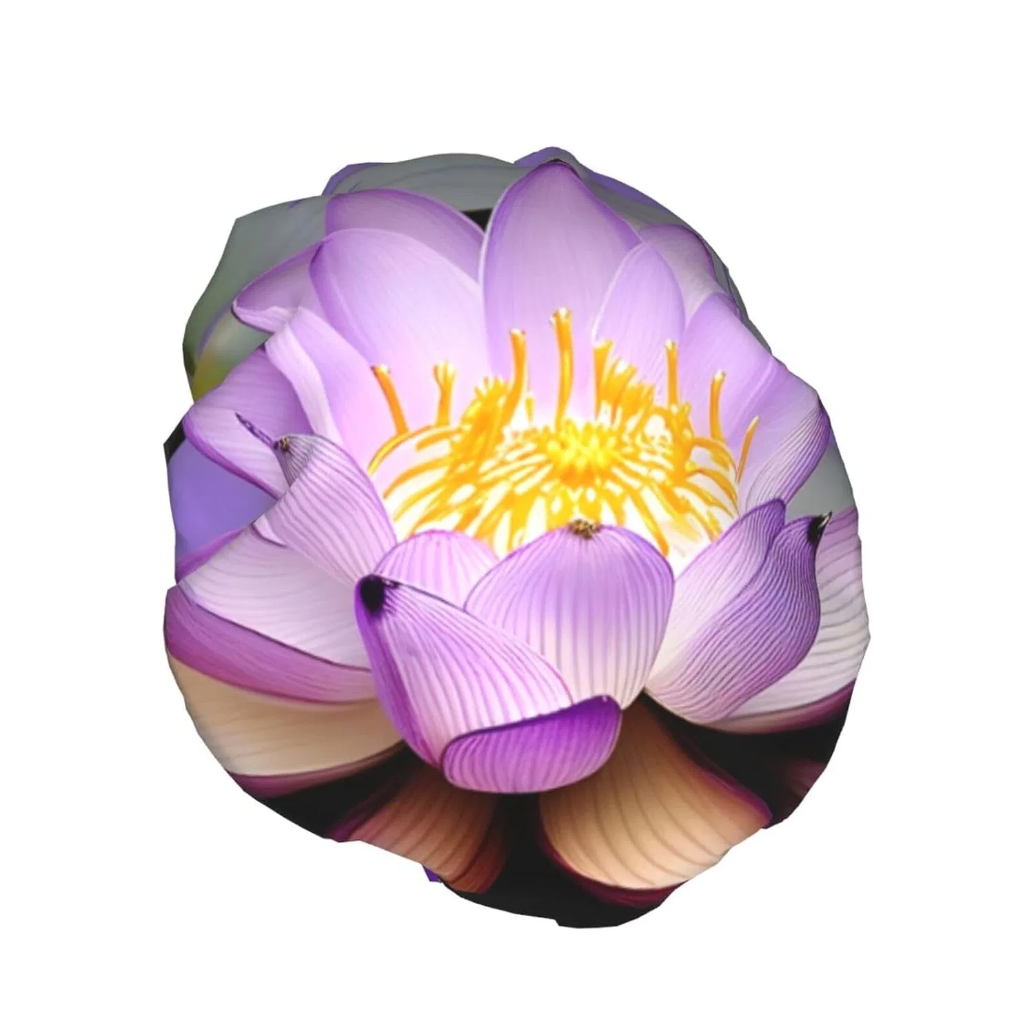 Шапочка для душа Violette Lotusblumen, BKDODKS, двойной водонепроницаемый, 27 см — фото 2