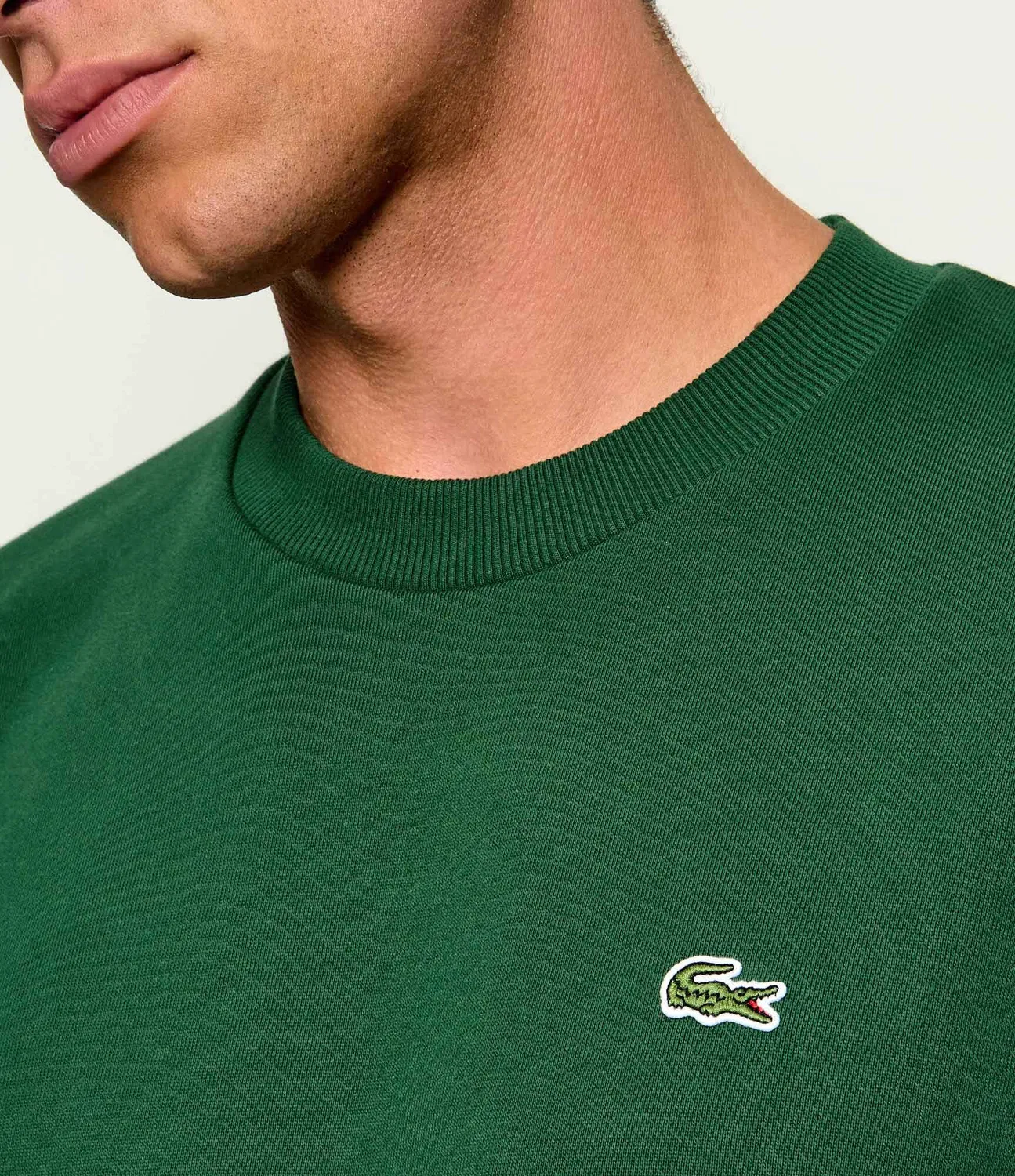 Толстовка Regular Fit Lacoste, Verde — фото 4