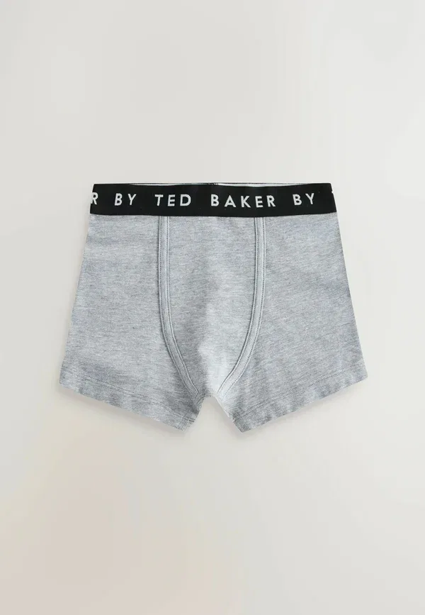 Боксеры стандартного кроя, комплект из 5 штук. Шорты Baker By Ted Baker, мультиколор — фото 4