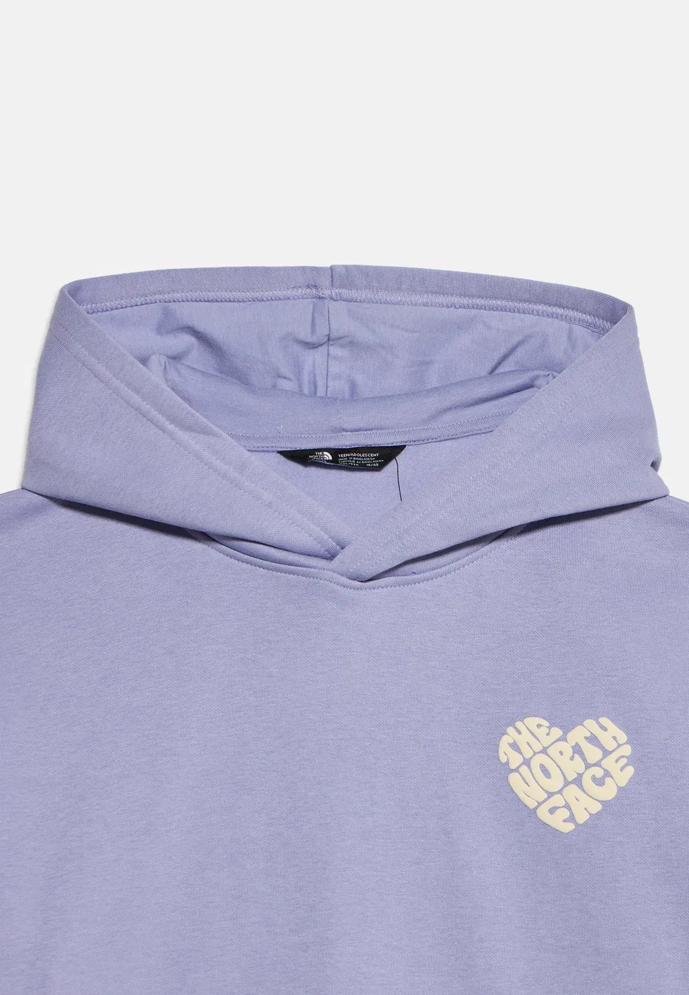 Толстовка с капюшоном в стиле унисекс от Teen Brand Proud Relaxed The North Face, Pale Plum — фото 3
