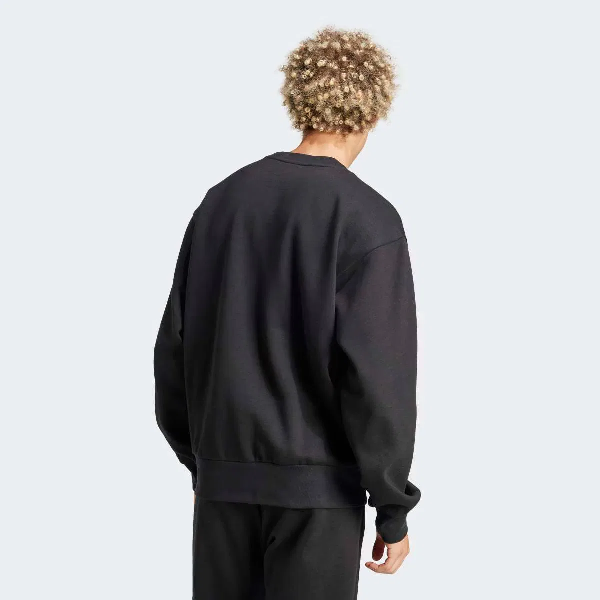 Мужская толстовка, Essentials Big Logo Fleece, adidas, черный — фото 2