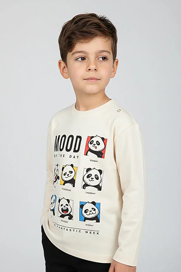 Детские свитшот для мальчиков с принтом Panda Mood Dmb, Nude Color — фото 2