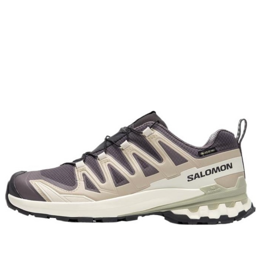 

Кроссовки Salomon XA Pro 3D V9 GTX 'Dark Grey Beige', желто-коричневый