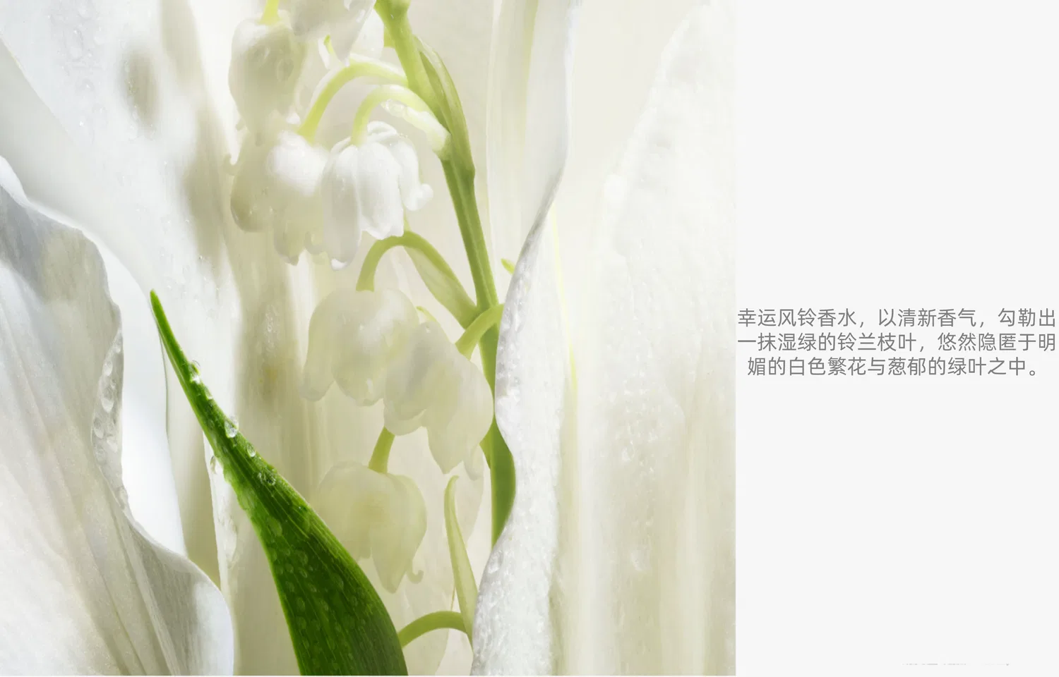 Женский парфюмерный набор с цветочным ароматом, 3x10 мл, DIOR, Lily Of The Valley — фото 4