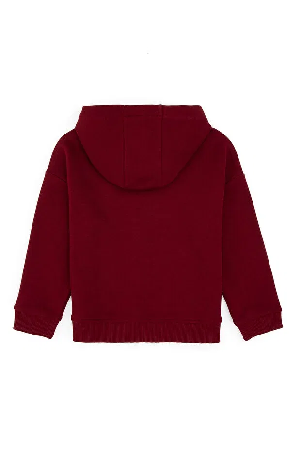 Детское худи для мальчиков с капюшоном U.S. Polo Assn., Burgundy — фото 4