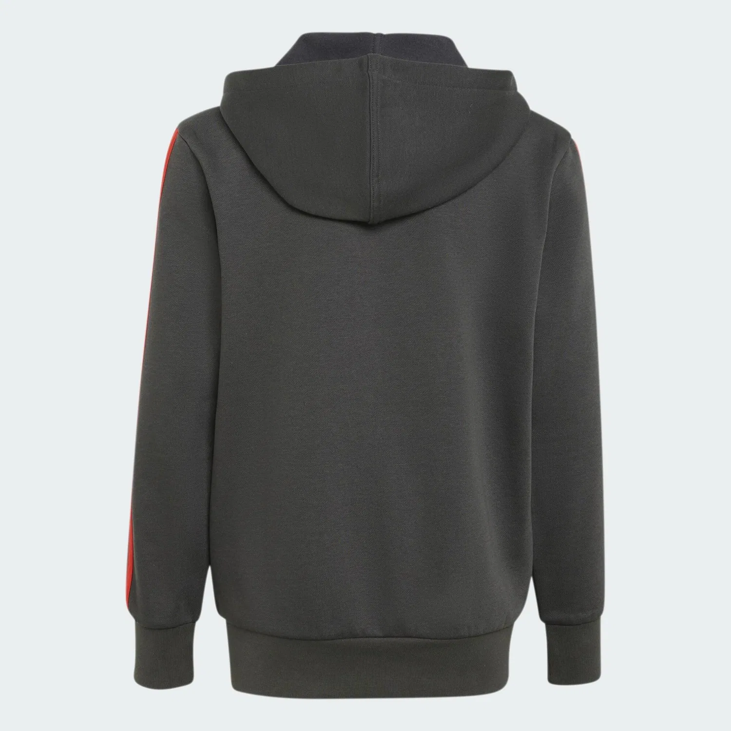 Детский флисовый худи с принтом Audi Revolut F1 Team DNA Full Zip Hoodie Adidas, Schwarz — фото 3