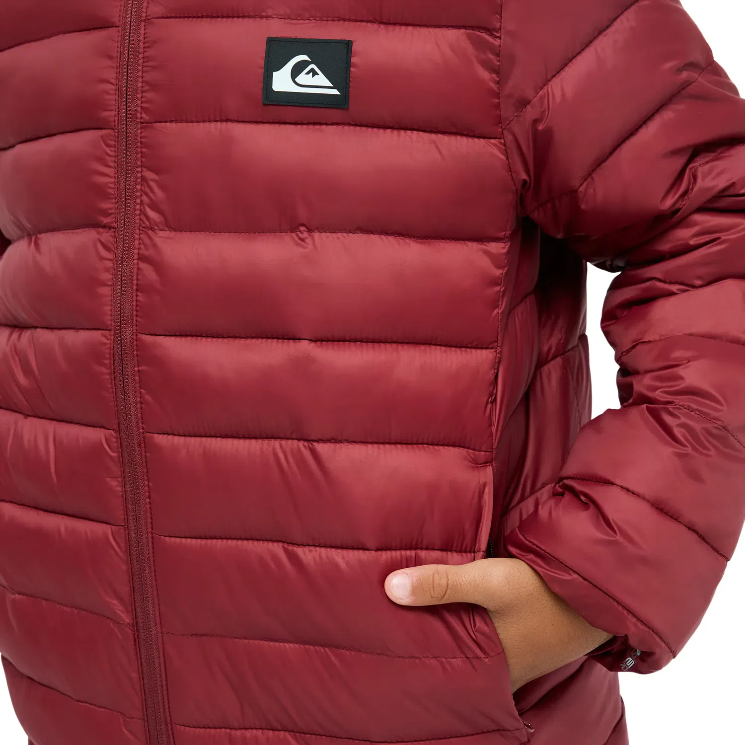 Детская куртка для мальчиков с принтом Scaly Quiksilver, Cherry Red — фото 4