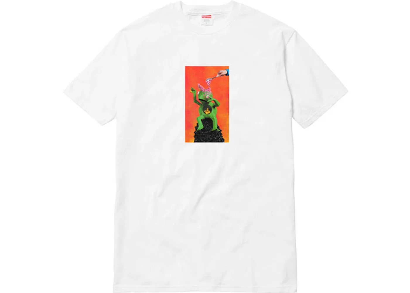 Мужская футболка с принтом Supreme Mike Hill Brains Tee, White