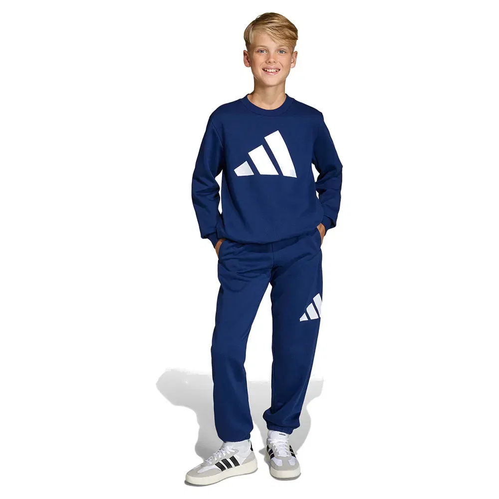 Комплект спортивных штанов Adidas Essentials Joggers, синий