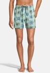 

Плавки HELIANTHUS Boardies, голубовато-зеленый