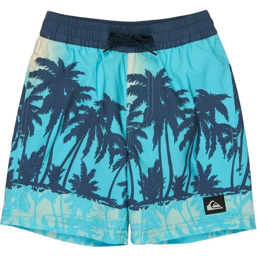 Плавки с принтом Quiksilver, Синий
