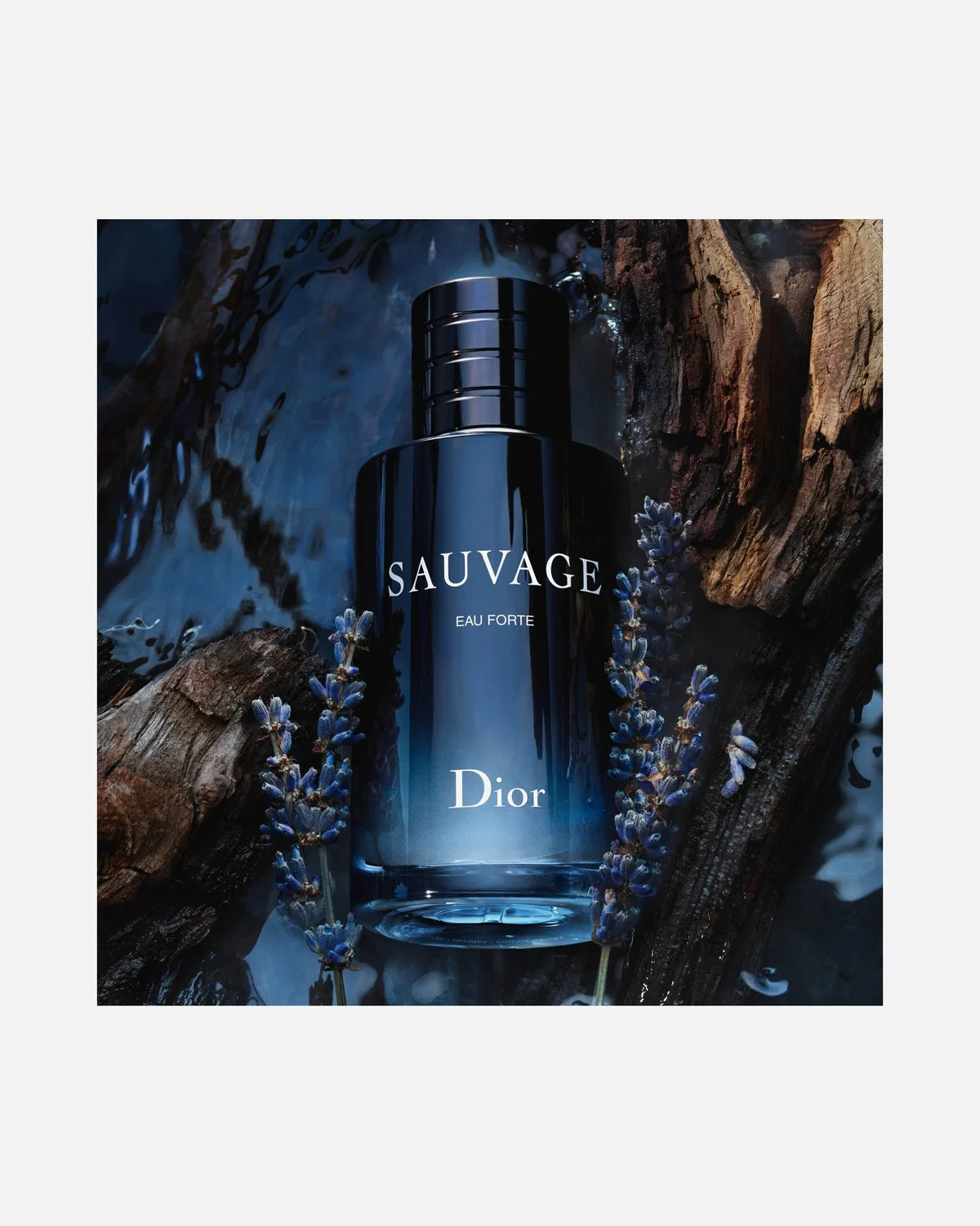 Парфюм sauvage eau forte alkoholfreier duft - frische und intensive noten Dior, 100 Ml — фото 3