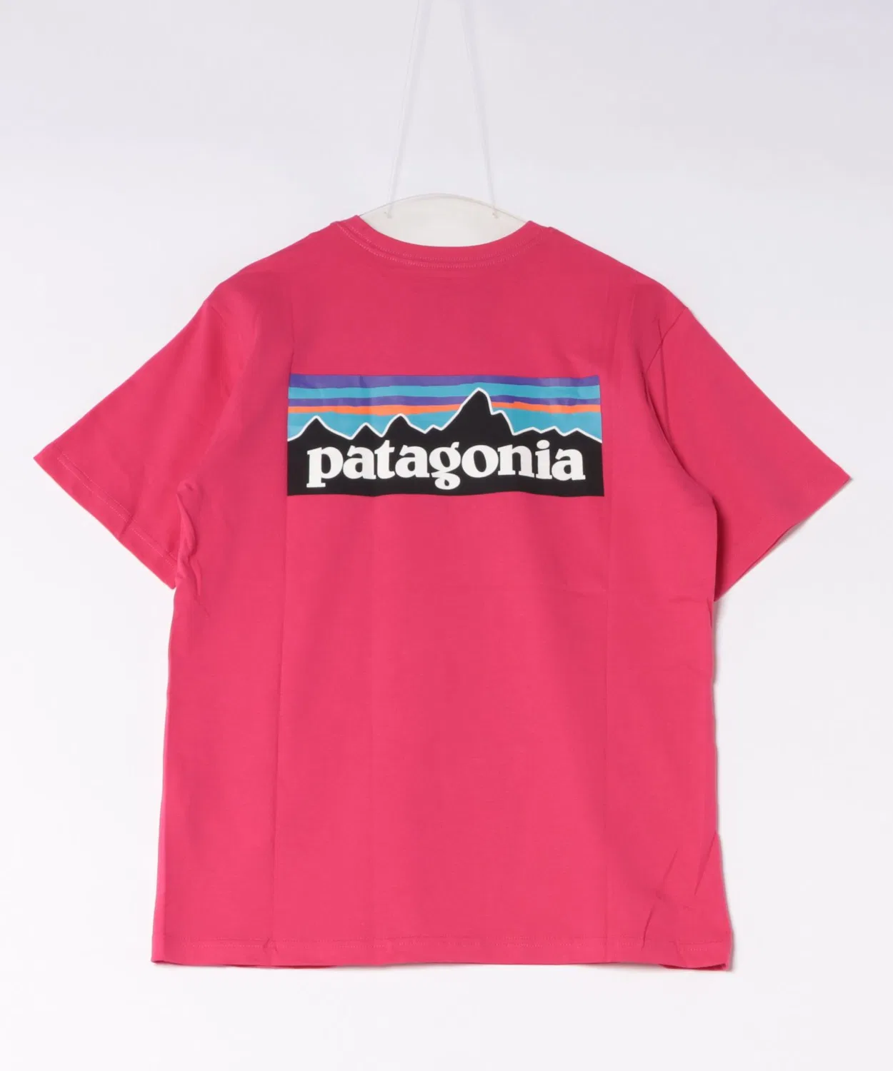 Мужская футболка с принтом Basic Logo Patagonia, Dark Grey — фото 2