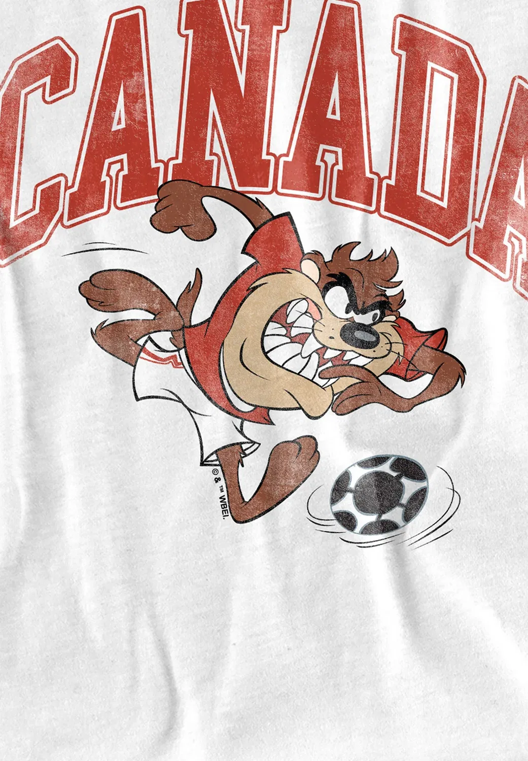 Футболка унисекс с принтом Taz Canada Looney Tunes, White — фото 3