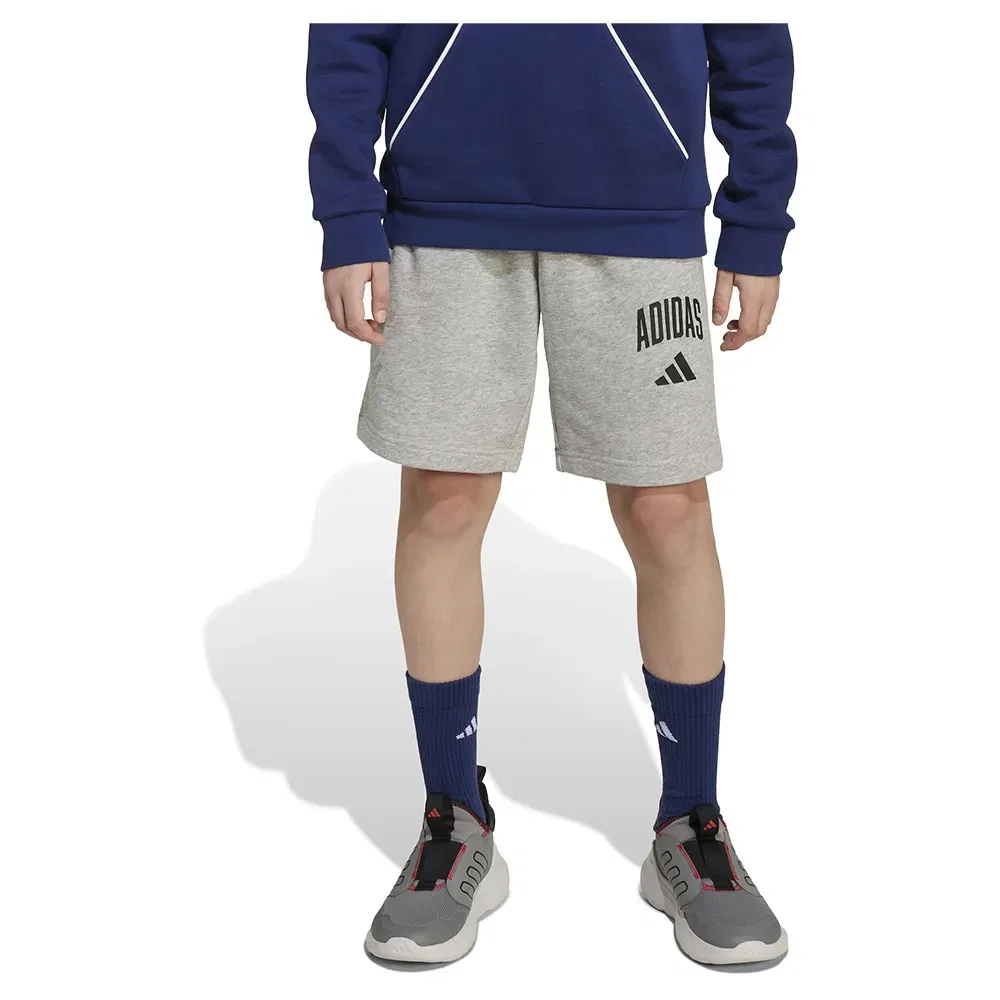 Шорты Adidas Seasonals Essentials Collegiate Typography, серый