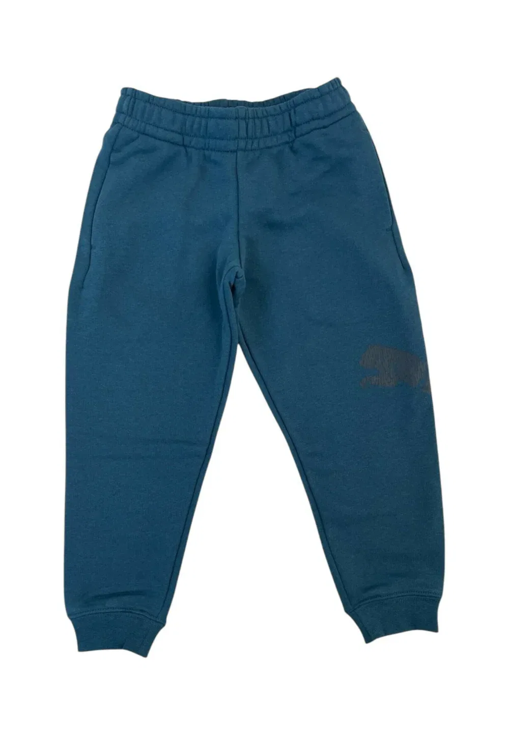 Брюки Ess grap pants tr col 36 - спортивные штаны Puma, Green