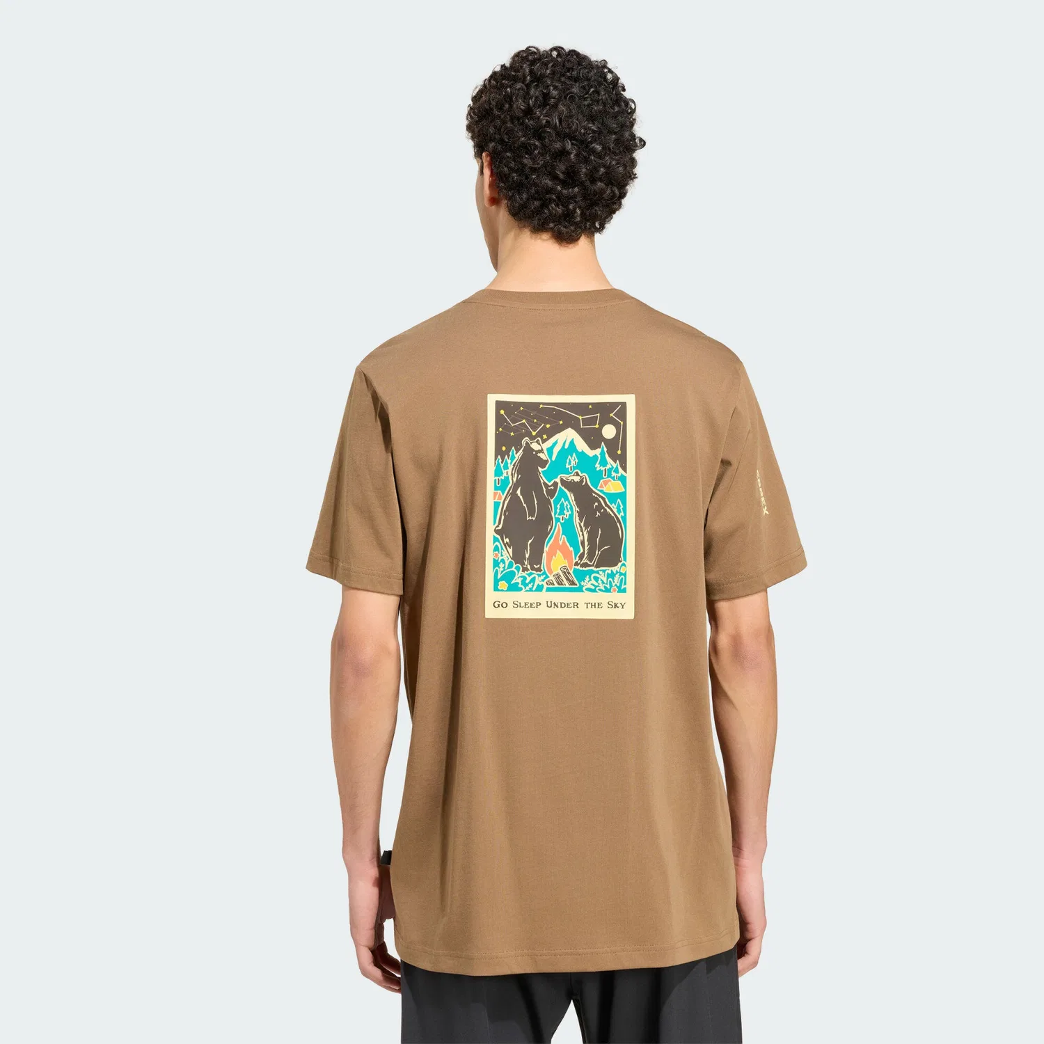 Мужская футболка с графическим принтом Terrex Camper Grafik T-Shirt Adidas, Green — фото 3