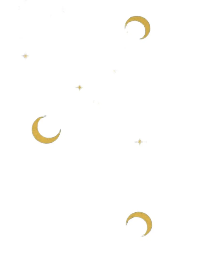 Комплект ночных рубашек с кукольной рубашкой Moon & Stars Navy Leveret — фото 3