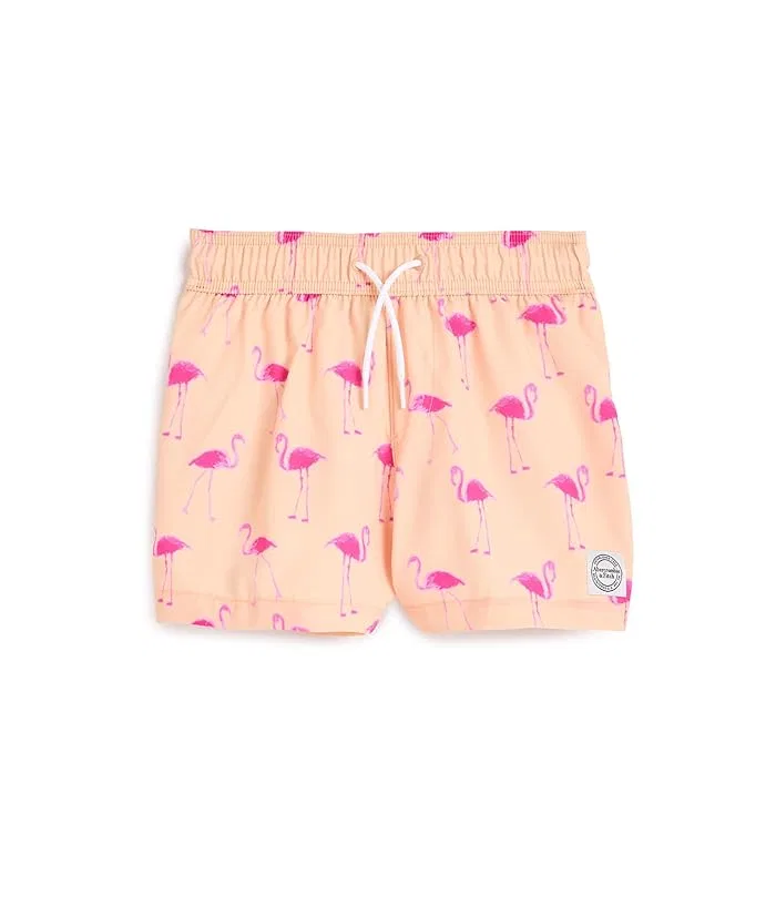 Плавки Core Poly Swim Trunks abercrombie kids, Bellini