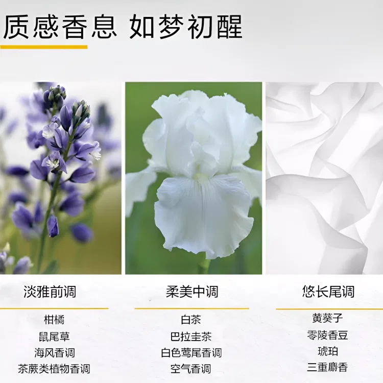 Женский набор парфюма и крема для тела White Tea, Elizabeth Arden, 30 мл + 400 мл — фото 3