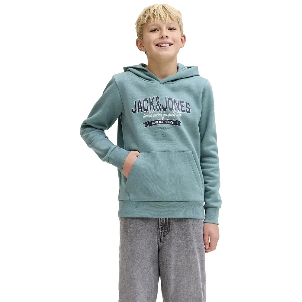 Худи Jack & Jones Logo 2 Colors, синий