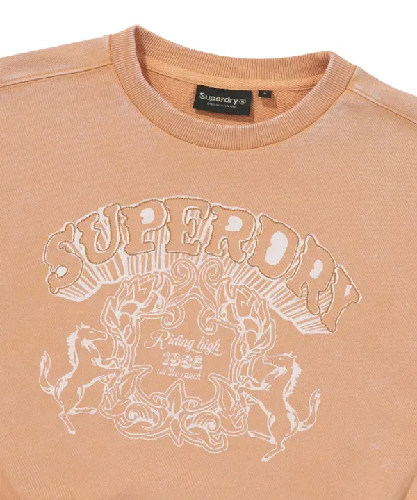 Свитшот женский, утепленный, Superdry, светло-оранжевый — фото 4