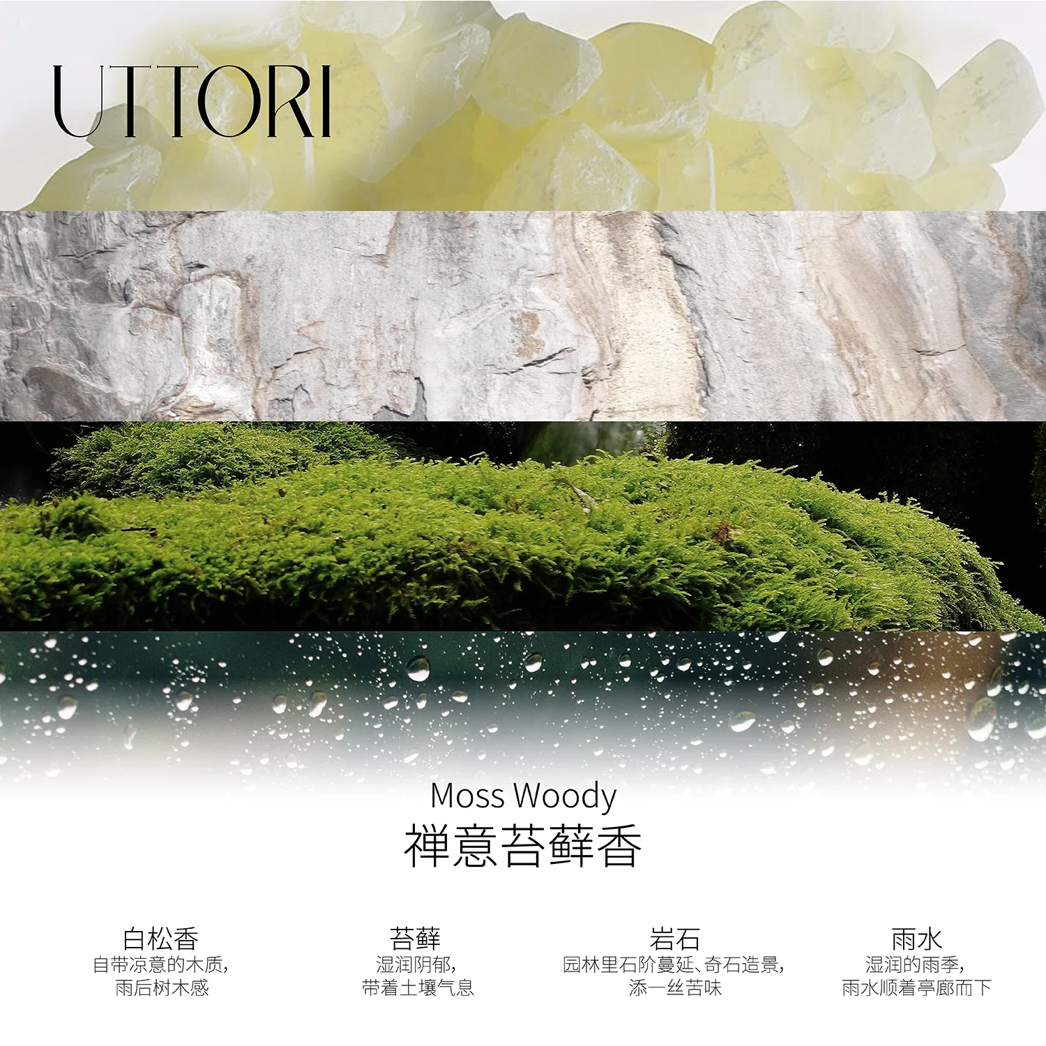 Парфюмированная вода Moss Garden Green Leafy Tones, UTTORI — фото 3
