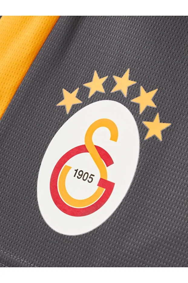 Детские шорты для девочек спортивные Galatasaray puma kids training shorts Gsstore, Anthracite — фото 4