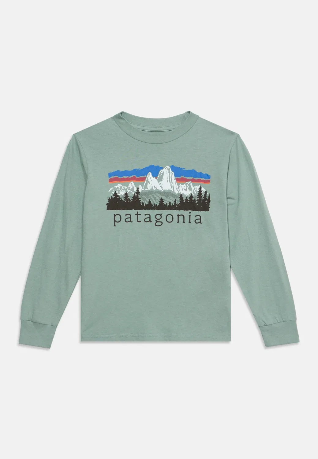 Футболка унисекс с длинными рукавами и графическим принтом Patagonia, Cover Green — фото 3