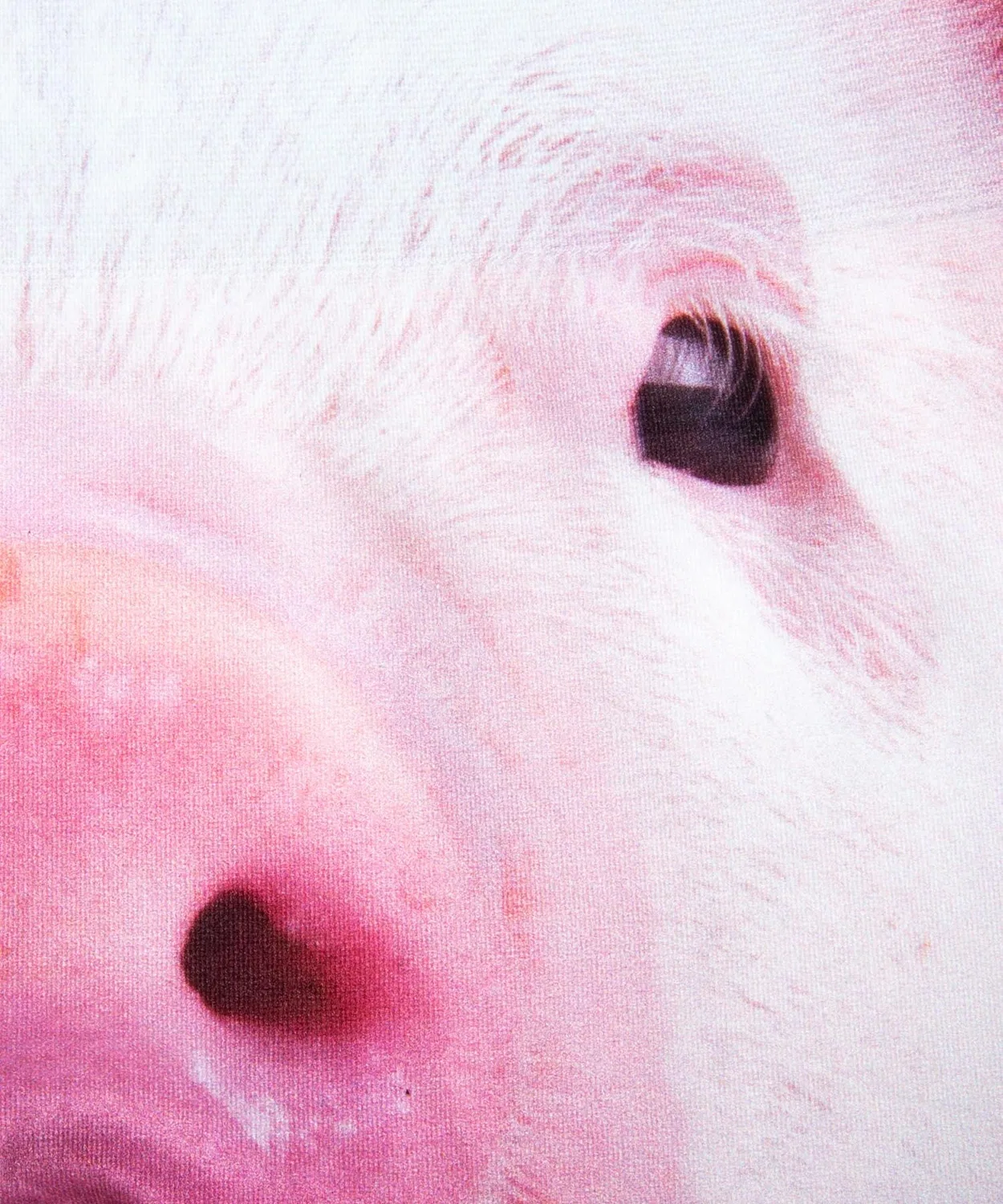 Детские трусы-боксеры с принтом Animal PIG, полиэстер HIPSHOP, Other2 — фото 4