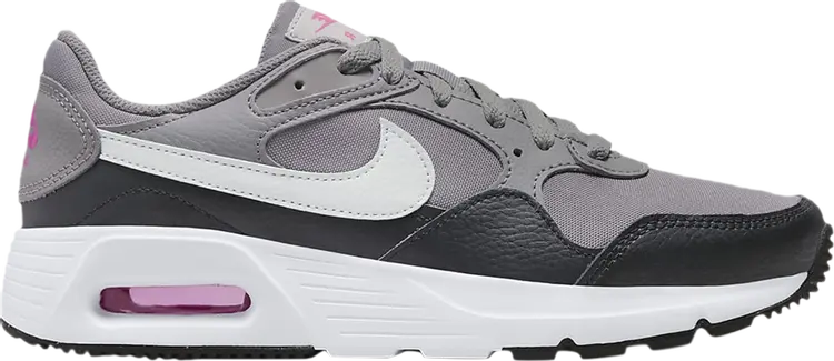 

Кроссовки Nike Wmns Air Max SC 'Flat Pewter', серый