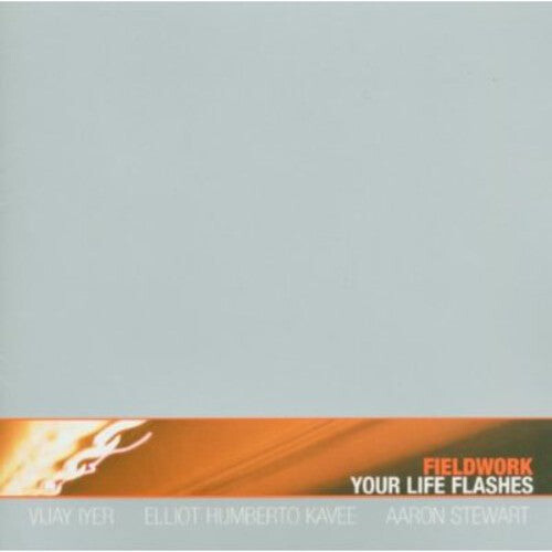 

CD диск Fieldwork: Your Life Flashes