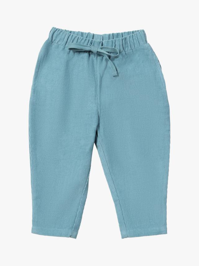 

Детские уютные брюки из вельвета Little Green Radicals, Blue