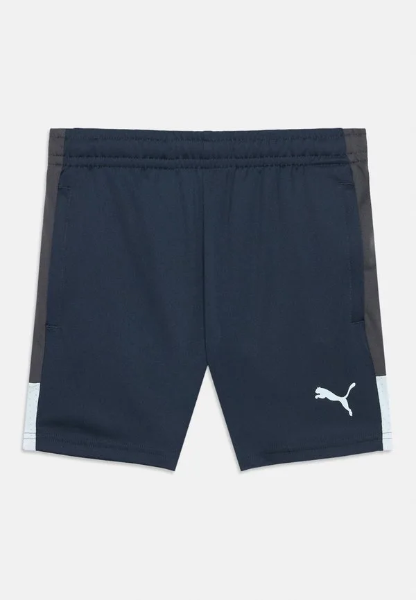 Спортивные шорты для тренировок по индивидуальной лиге Puma, Mineral Cobalt/Icy Blue/Strong Gray — фото 3