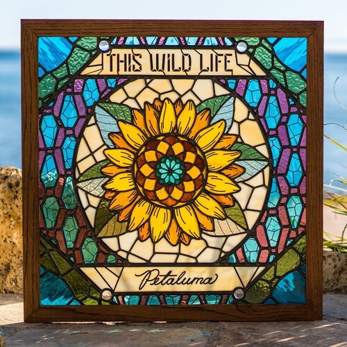 

CD диск This Wild Life: Petaluma