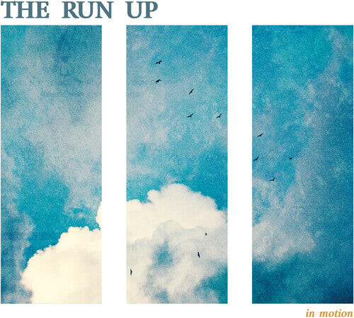 

Виниловая пластинка Run Up: In Motion