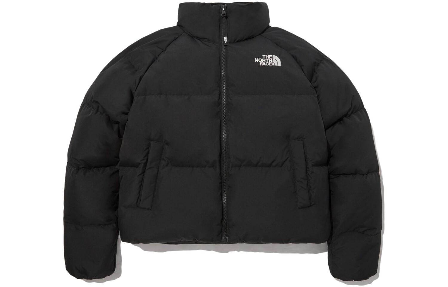 

THE NORTH FACE Женская куртка, цвет Black