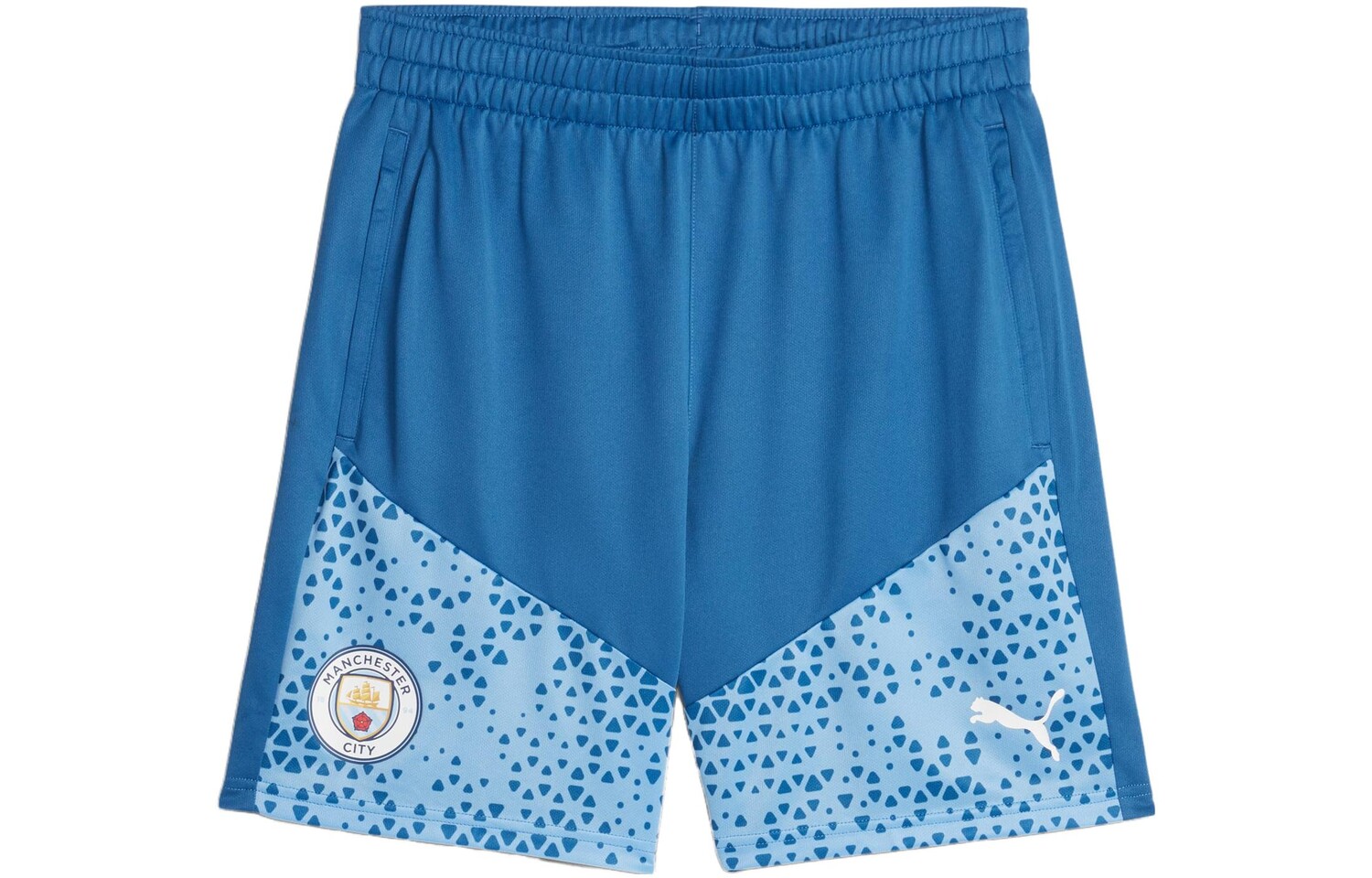 

Футбольные шорты мужские Lake Blue Puma, цвет Lake Blue