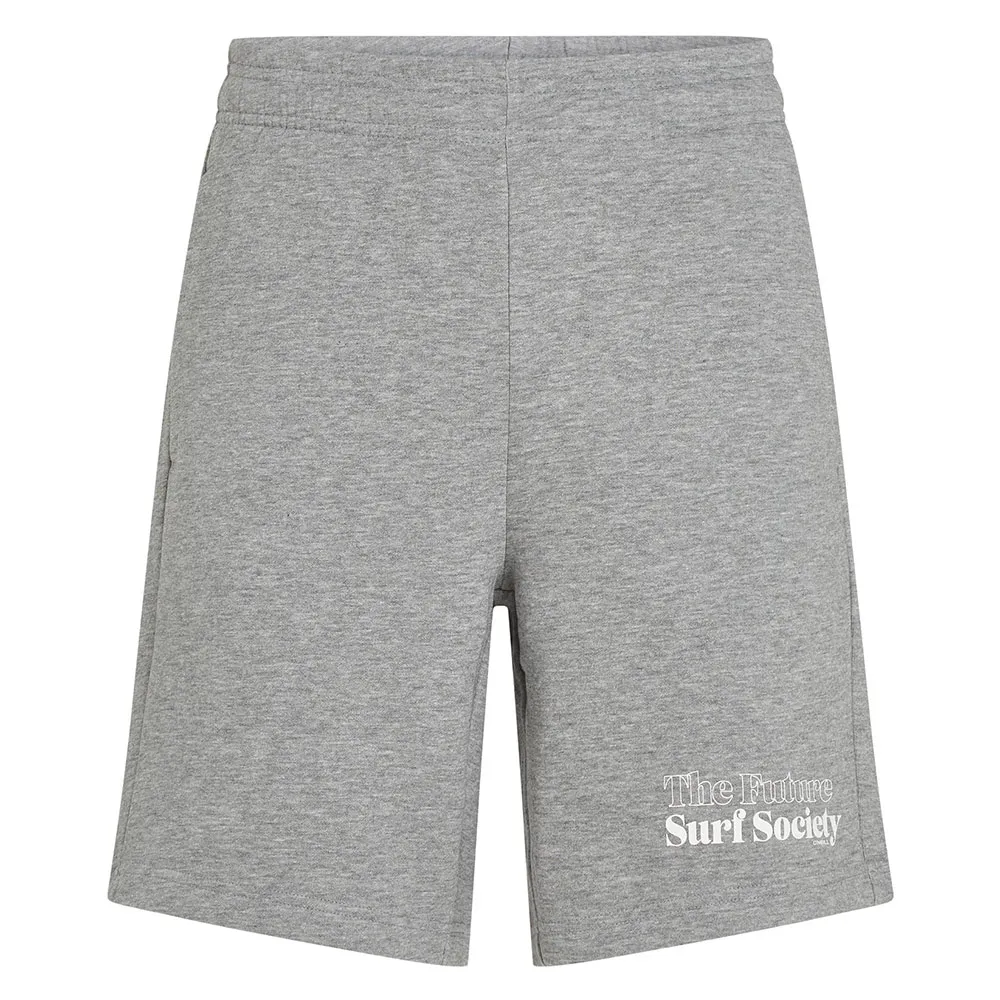 

Спортивные шорты O´neill The Future Surf Society, серый